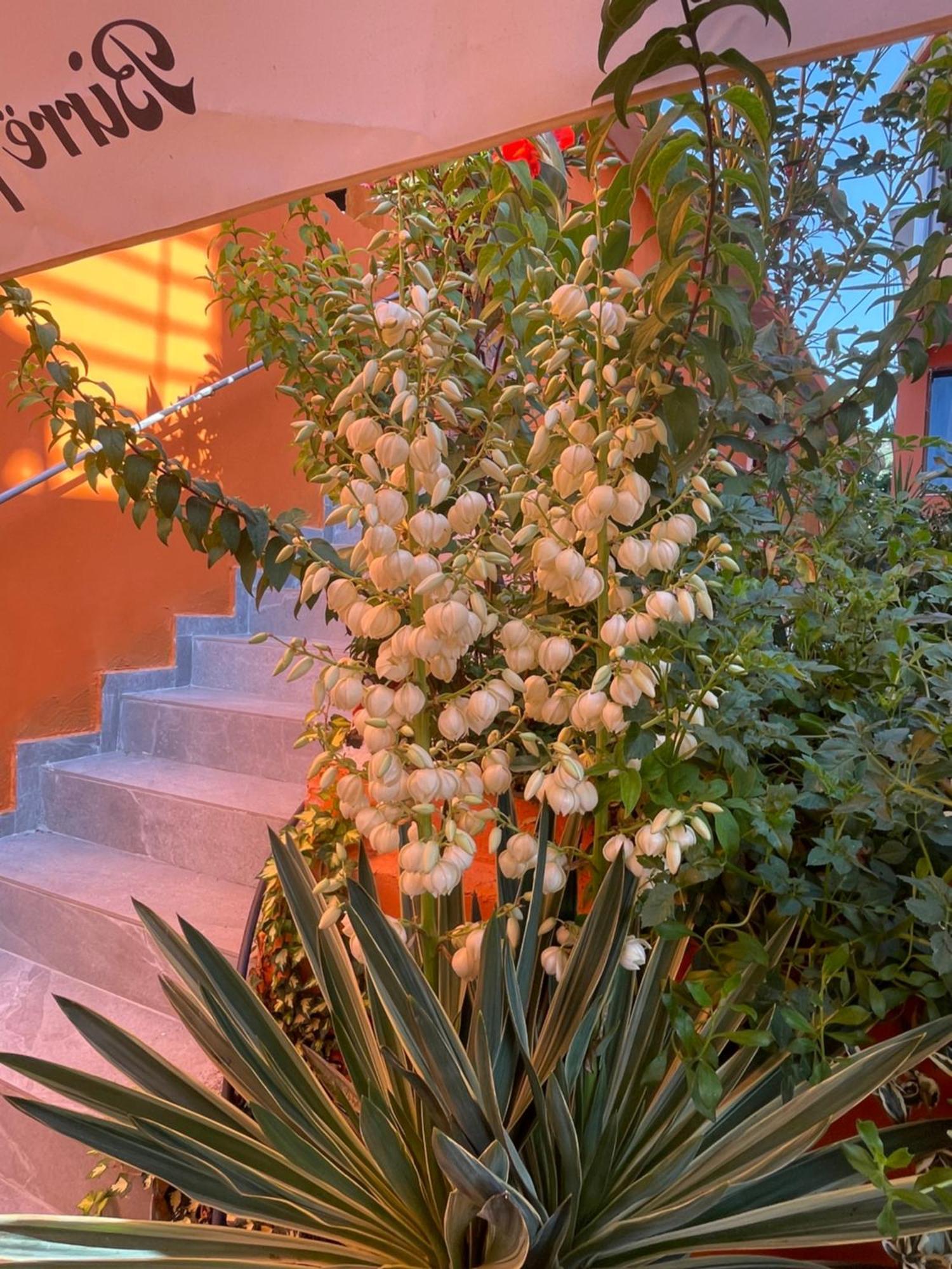 Hotel Bar Restaurant Mete Peshkepi Εξωτερικό φωτογραφία